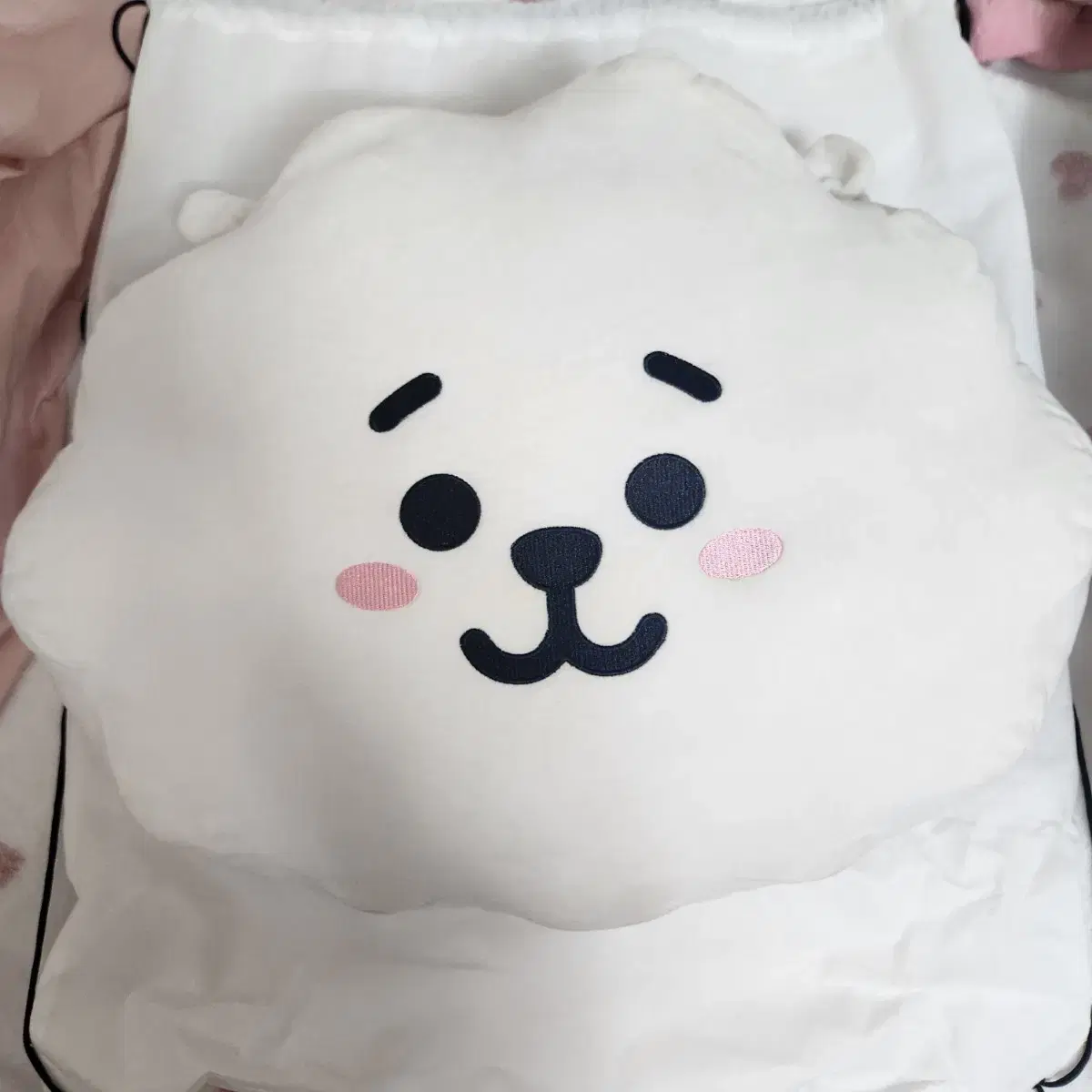 방탄소년단 BT21 진 알제이 RJ 42cm 쿠션